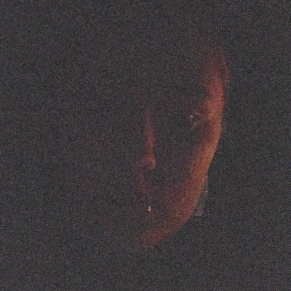 Meet your Posher, Emma - Picture 1 of 1